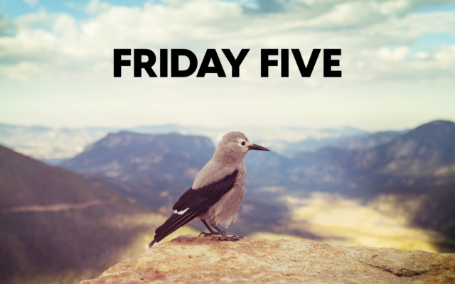 Friday Five: “Bird” Songs